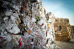 Paper waste in landfill