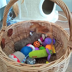 a basket of pet toys