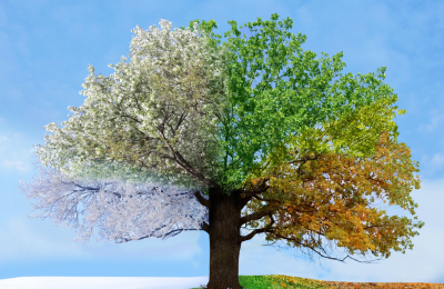 COVER-July-2026-blog-seasonal-organising.png