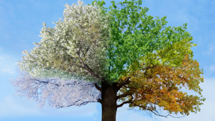 COVER-July-2026-blog-seasonal-organising.png