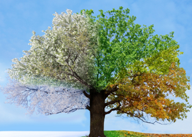COVER-July-2026-blog-seasonal-organising.png