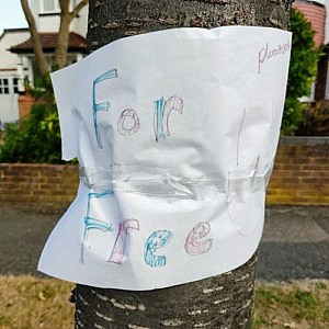 A hand drawn for sale sign pinned to a tree