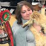Mell Coleman pedigree pet breeder with her prize winningcat