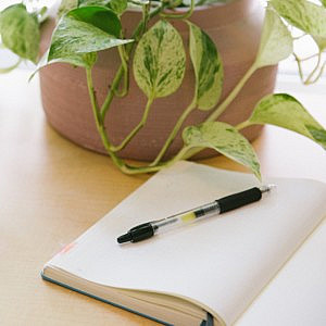 Open notebook and a pen next to a pot plant