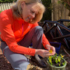 Logo of Elaine McKinlay