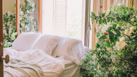 NOW 2023-Blog-Outside Inside-bedroom plants.jpg