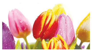 Logo of Juliette Harding